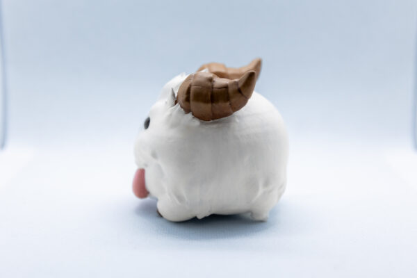 Figura de poro lado 2